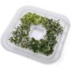 Presto 06311 Dehydrator Nonstick Mesh Screens, 2 Pack